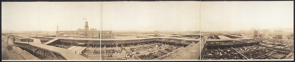 Wide panoramic photograph of the Kansas City Stockyards in 1909